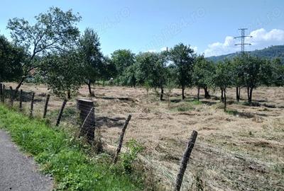 Teren de 9288 mp, în Bucova - 4
