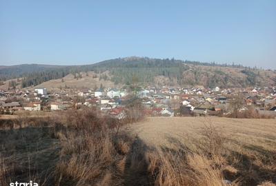 Teren de 3000 mp, în Curtești