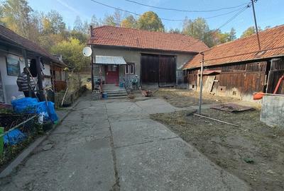 Casă cu 3 camere cu Teren 10000 Mp în Petros