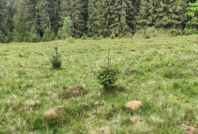 Teren de 3040 mp, în Dealu Botii - 3