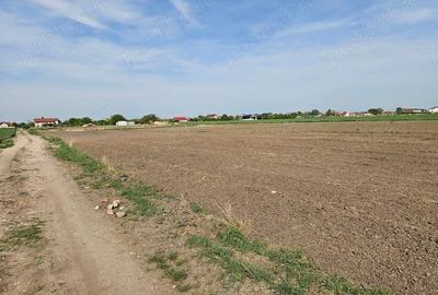 Teren de 994 mp, în Covaci - 3