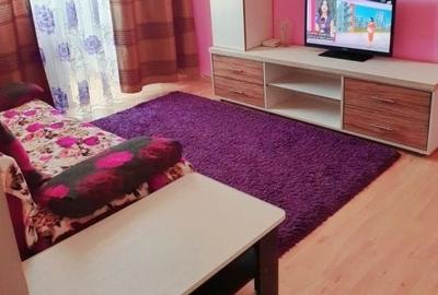 Apartament cu 2 camere semidecomandat în Craiovița Nouă - 2