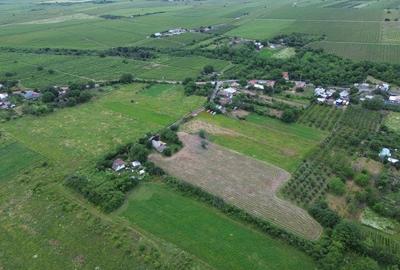 Teren Construcții intravilan de 4229 mp, în Blidari (Cârligele) - 6
