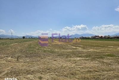 Teren de 507 mp, în Hărman