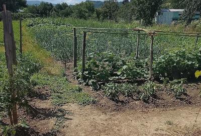 Casă cu Teren 10 Mp în Dobra - 3
