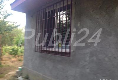 Casă cu 3 camere cu Teren 5000 Mp în Pătlăgeanca - 7