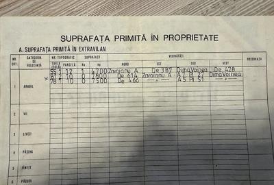 Teren de 30000 mp, în Tătaru