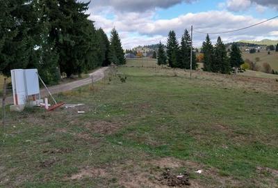 Teren de 10450 mp, în Tiha Bârgăului - 1