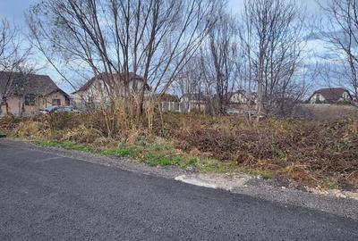 Teren Construcții intravilan de 1985 mp, în Stupini - 1