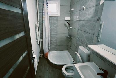 Apartament cu 3 camere în Nufărul - 3