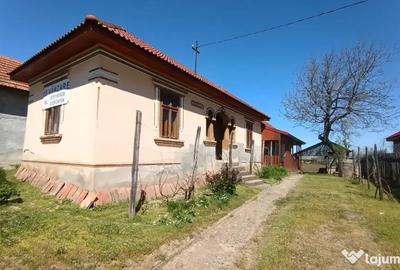 Casă individuală cu 5 camere cu Teren 1250 Mp în Ciupercenii Noi
