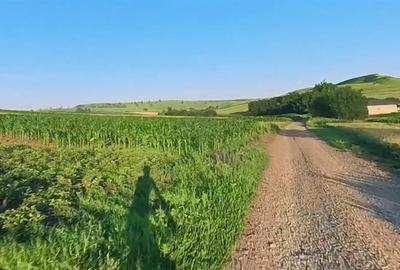 Teren agricol intravilan de 7400 mp, în Moara Carp - 1