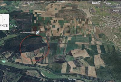 Teren Construcții intravilan de 30000 mp, în Giroc - 6