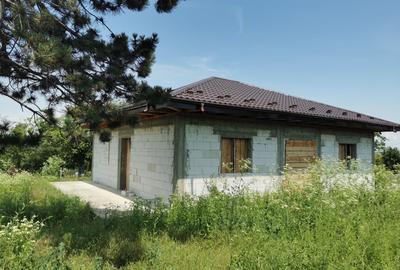 Casă cu 3 camere în Alexandru cel Bun - 3