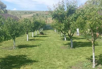 Casă cu 3 camere în Cepești