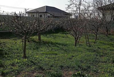 Casă cu 3 camere cu Teren 817 Mp în Central