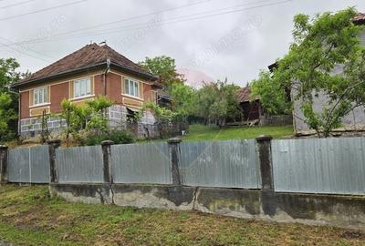 Casă cu 3 camere cu Teren 2200 Mp în Teleac - 5