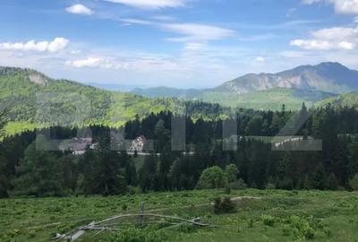 Teren de 10000 mp, în Central