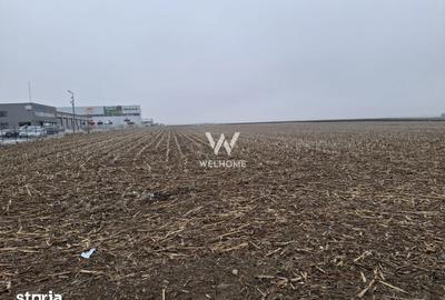 Teren de 20800 mp, în Vest - 1