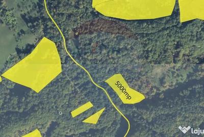 Teren de 5000 mp, în Coaș - 10