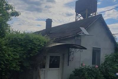 Casă cu Teren 4600 Mp în Pristol - 3