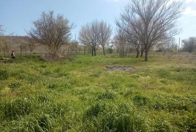 Casă cu 4 camere în Slava Rusă - 1