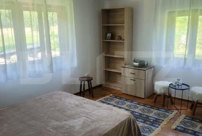 Casă cu 5 camere cu Teren 48000 Mp în Vărădia de Mureș - 11