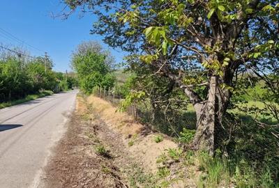 Teren în Călinești
