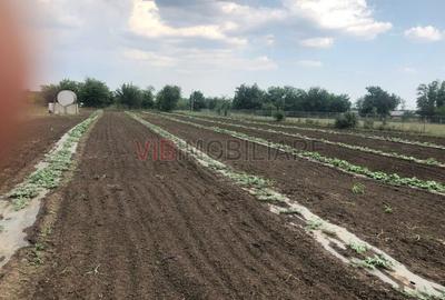 Teren de 30000 mp, în Nicolae Bălcescu
