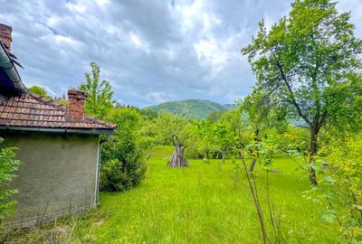 Teren agricol intravilan de 1500 mp, în Bran - 11