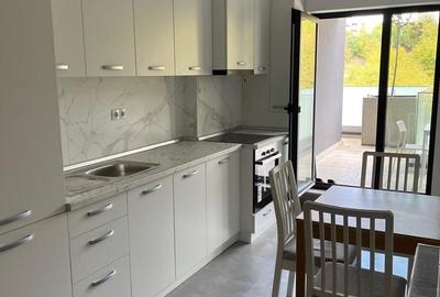 Apartament cu 2 camere în Dosu Bricii