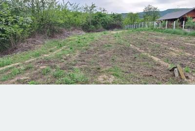 Teren de 1200 mp, în Bujoreni