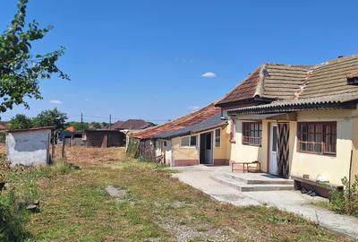 Casă cu 4 camere cu Teren 1900 Mp în Mihail Kogălniceanu