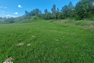 Teren de 3000 mp, în Central