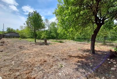 Teren de 2900 mp, în Sălcuța - 5