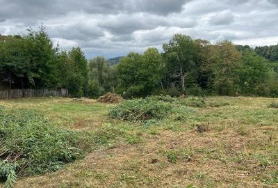Teren de 2700 mp, în Telega