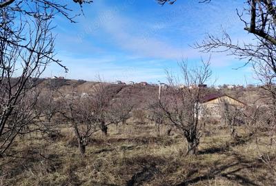 Teren de 5875 mp, în Central