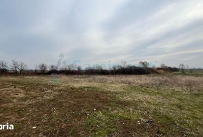 Teren de 5700 mp, în Podgoria