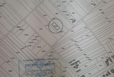 Teren de 535 mp, în Copăceni - 1