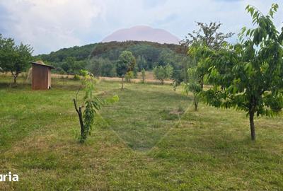 Teren de 3000 mp, în Bratca - 5