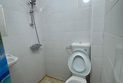 Garsonieră în Theodor Pallady - 11