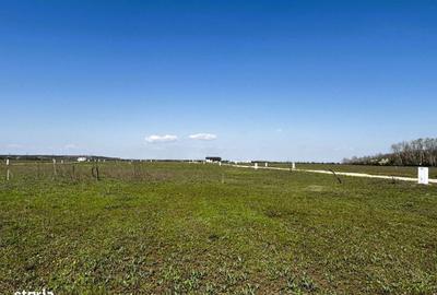 Teren de 638 mp, în Cocani - 5