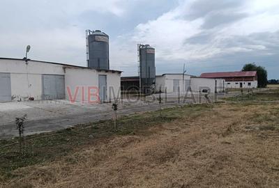 Spațiu comercial, de 6,300 mp, în Salonta