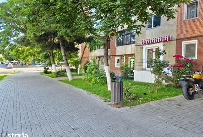 Spațiu comercial, de 26 mp, în Ostroveni - 3