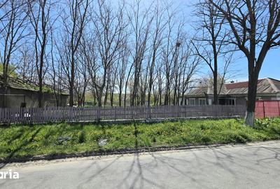 Teren de 2760 mp, în Lumina - 6