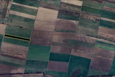 Teren agricol extravilan de 11900 mp, în Giroc - 3
