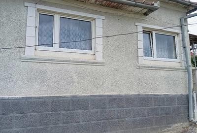 Casă cu 2 camere cu Teren 1843 Mp în Urișor - 7