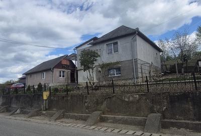 Casă cu 2 camere cu Teren 3000 Mp în Ocna Dejului - 6