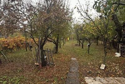 Casă cu 4 camere cu Teren 1676 Mp în Boldești