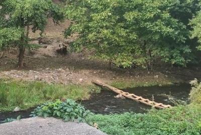 Teren de 385 mp, în Căpâlna